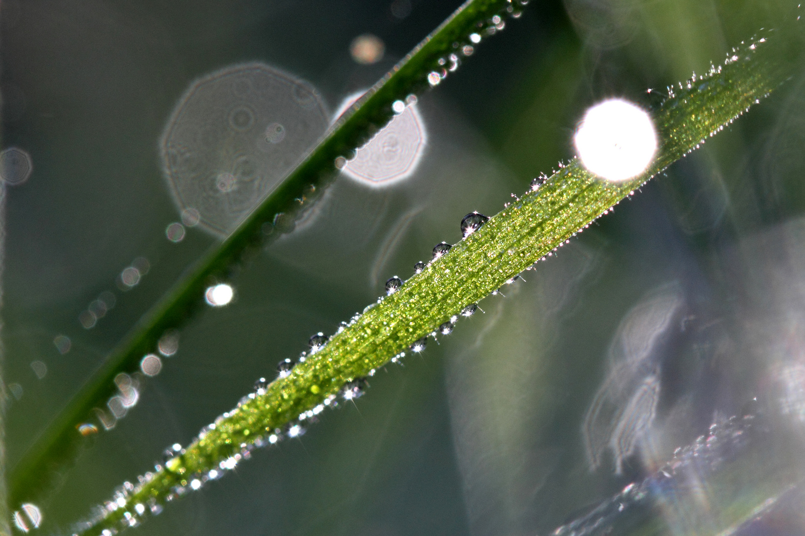 Après l'orage