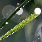 Après l'orage