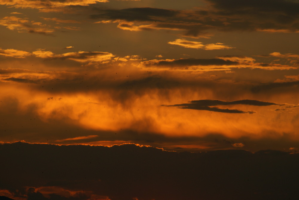 Après l'orage.......