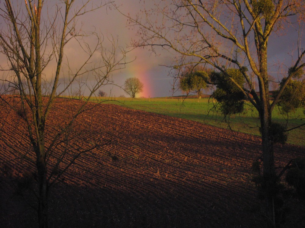 Après l'orage