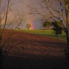 Après l'orage