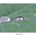 Après l'orage