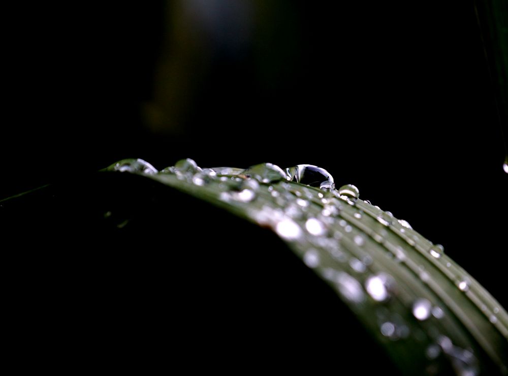 Après l'orage