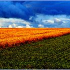 après l'orage