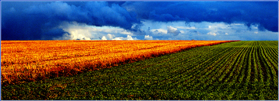 après l'orage