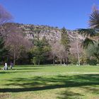 Après-midi au parc ....