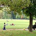 Après-midi au Parc .....