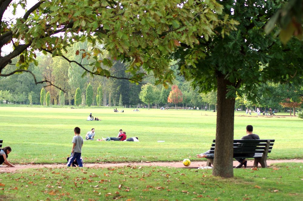 Après-midi au Parc .....