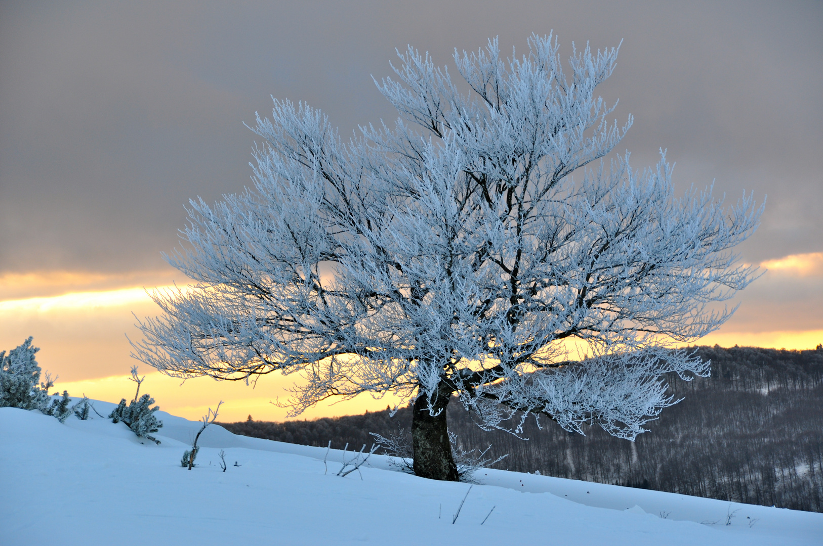 après midi d'hiver