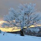 après midi d'hiver