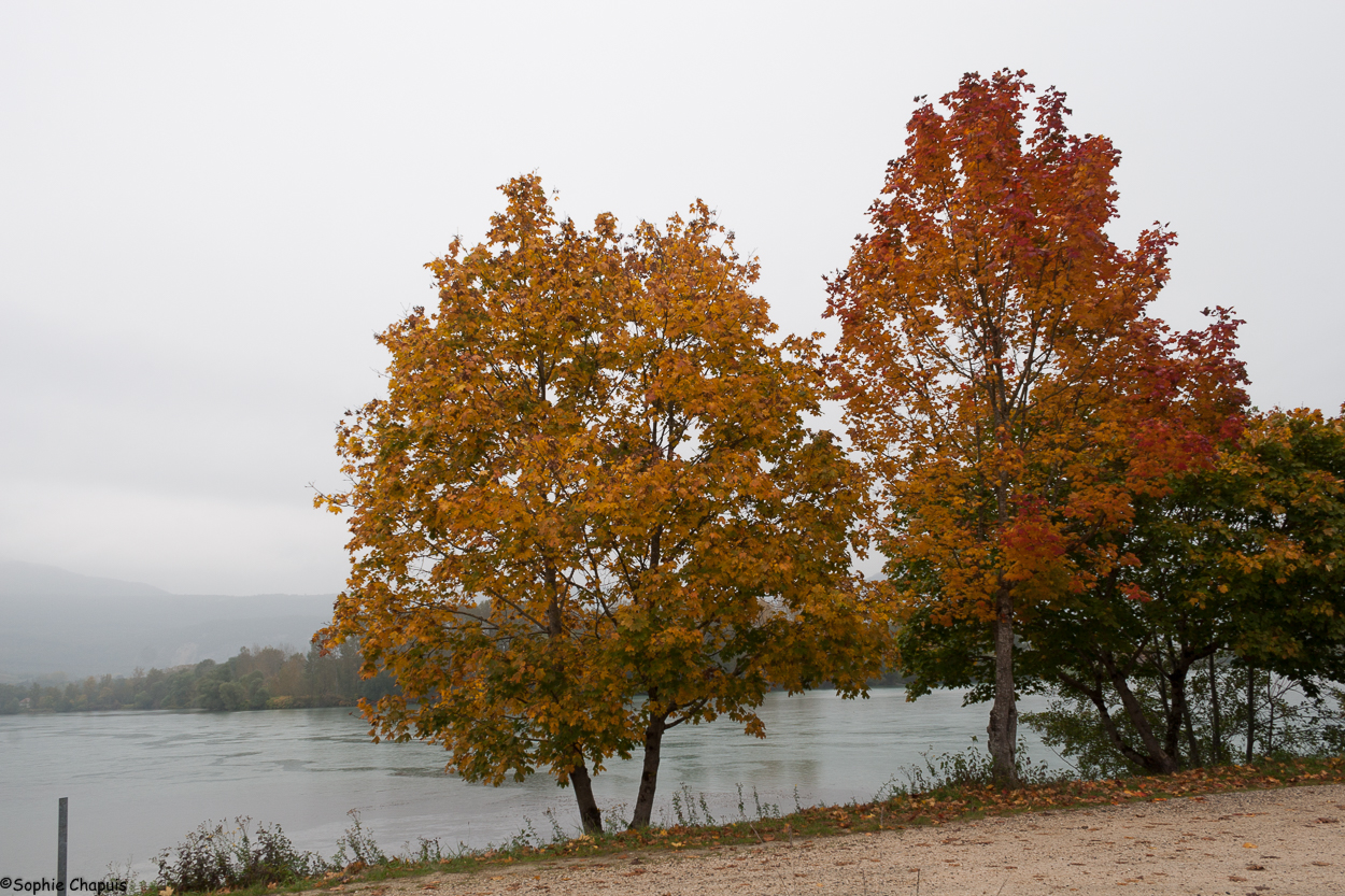 après midi en bord de Rhône