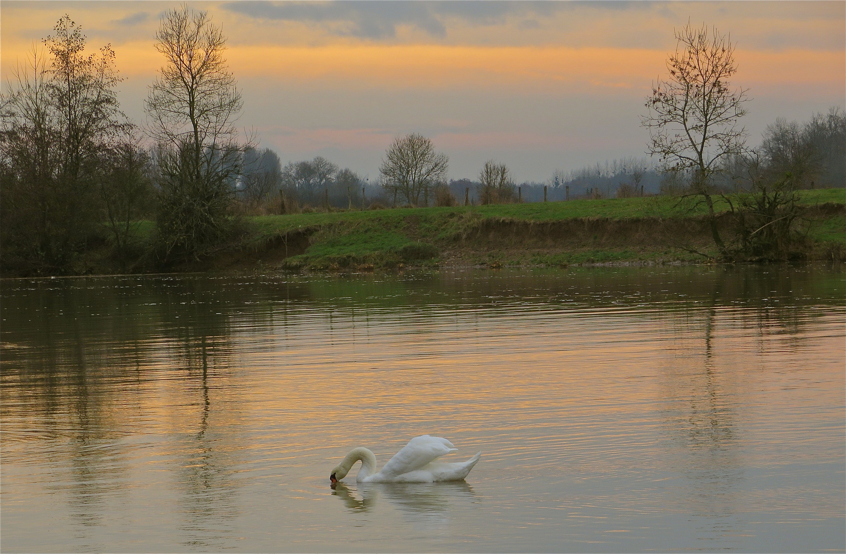 ...après midi sur la Saône !!!...