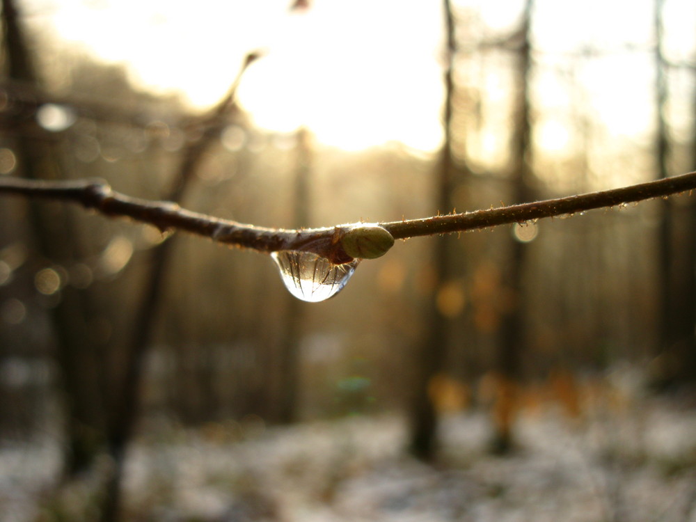 Après neige