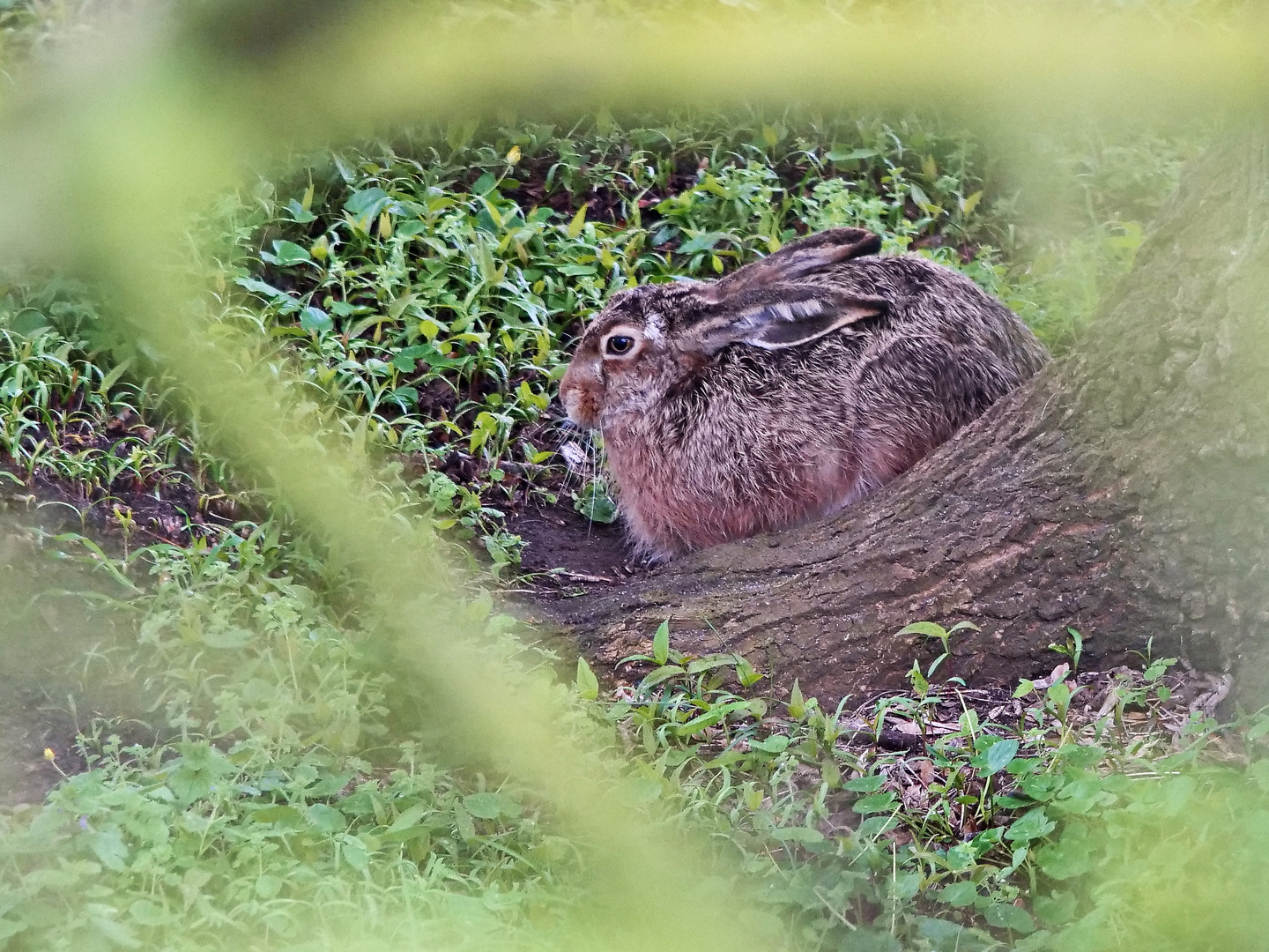 Apres Ostern