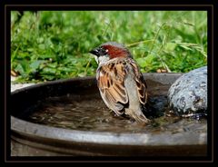 " Après un bon bain je suis en forme "