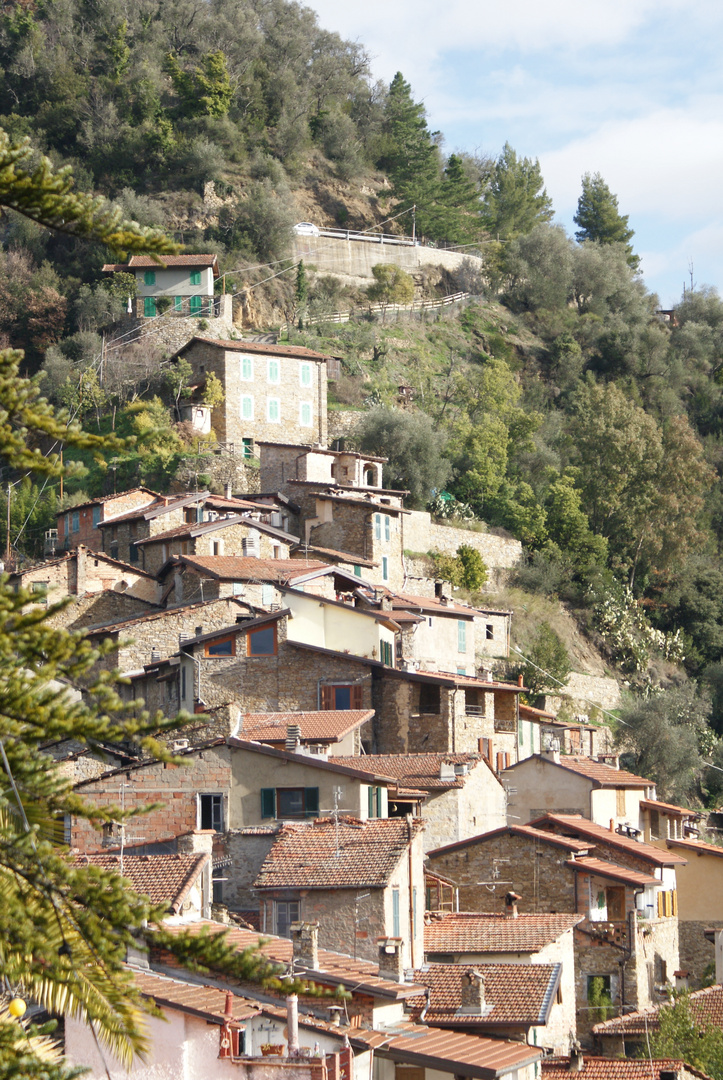 APRICALE