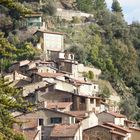 APRICALE