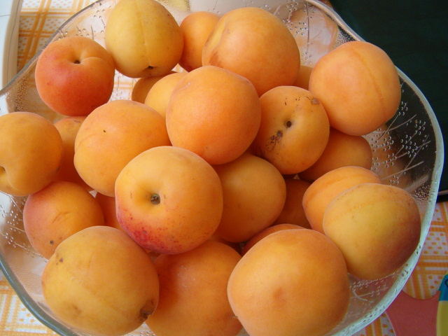 apricot