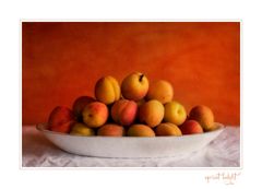 apricot delight