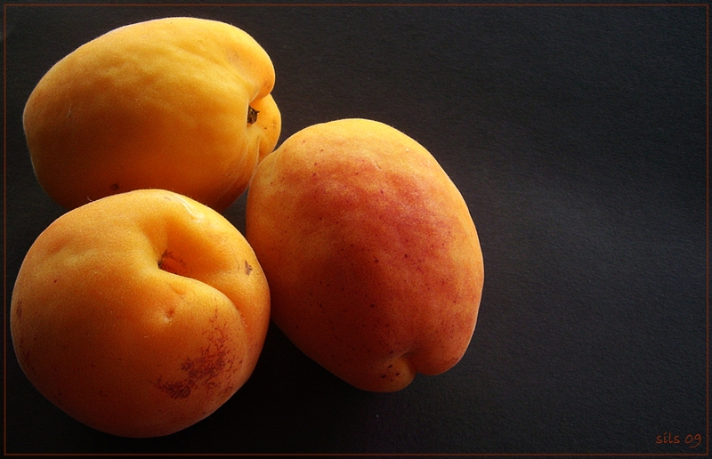 apricot