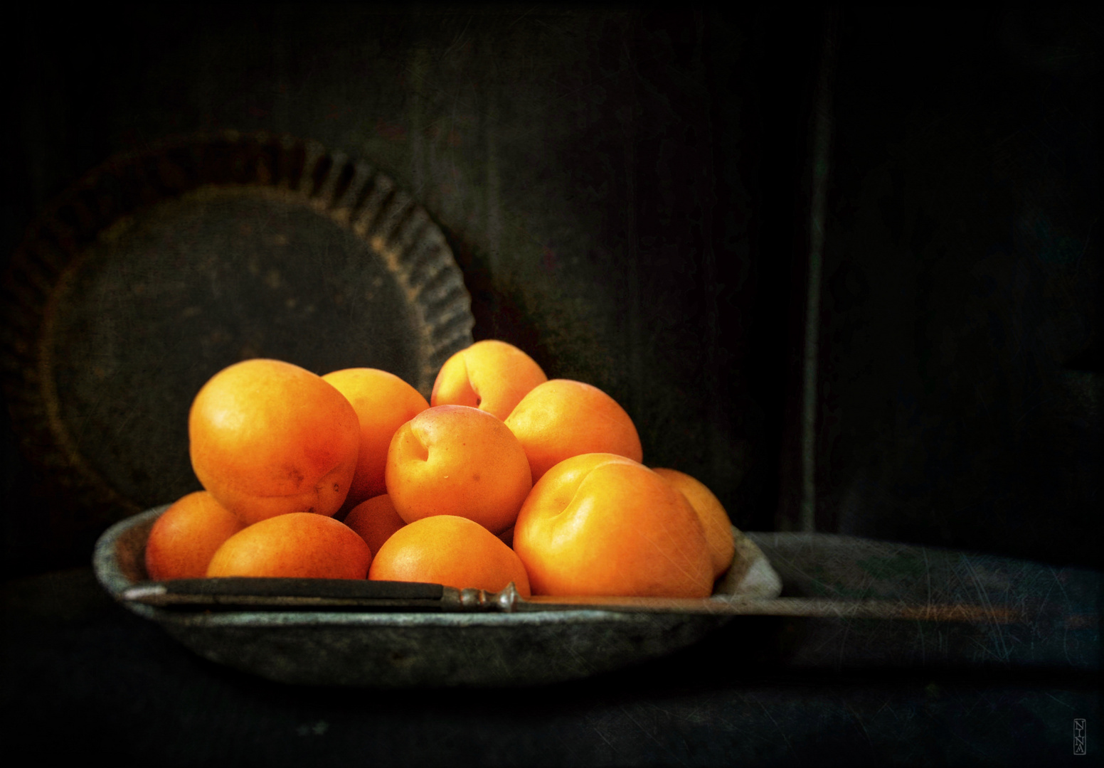 aprikosen