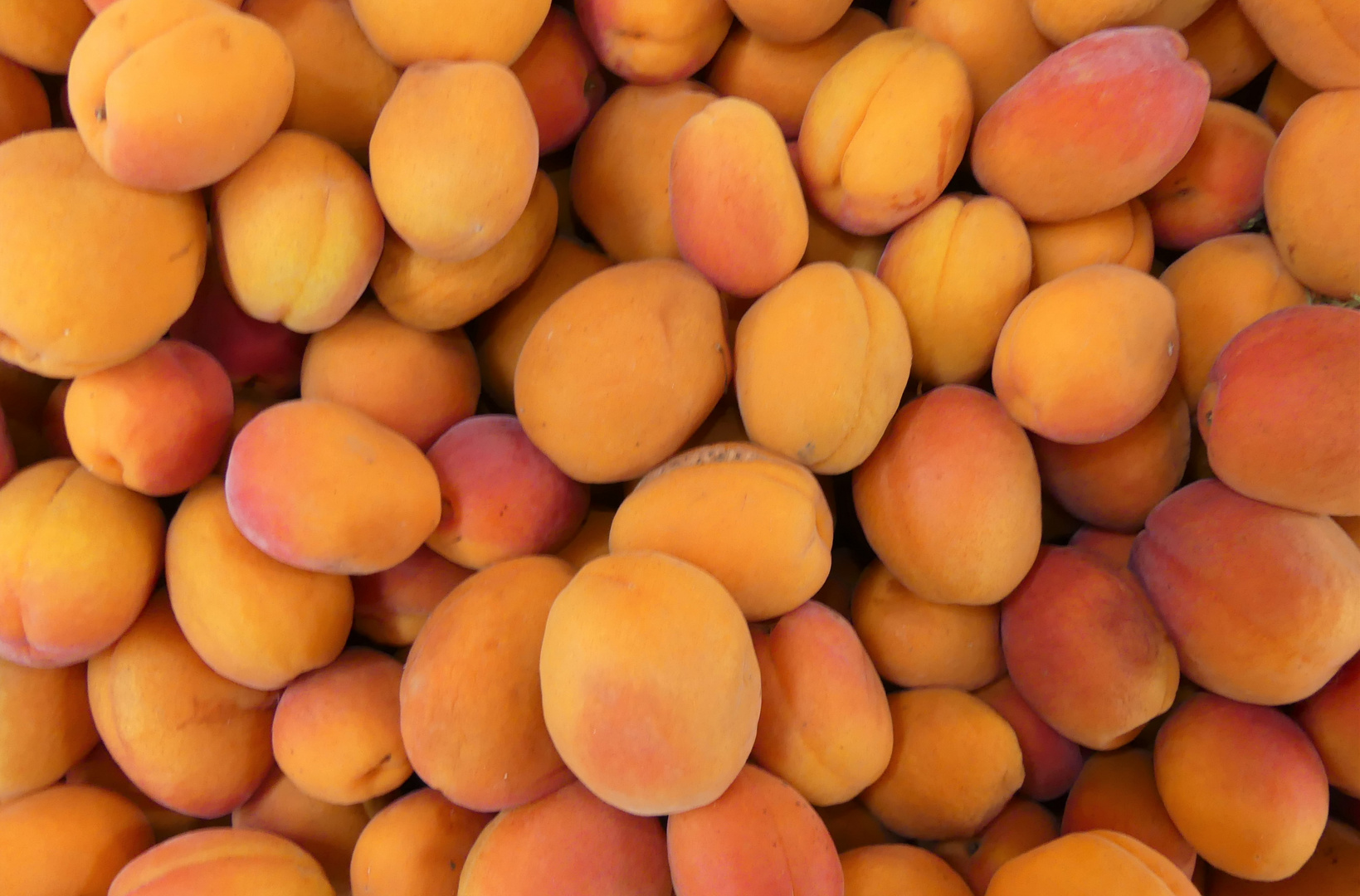 Aprikosen Foto &amp; Bild | sonstiges, outdoor, natur Bilder auf fotocommunity