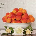 Aprikosen, Marillen, Prunus armeniaca... - aus dem Ländle...