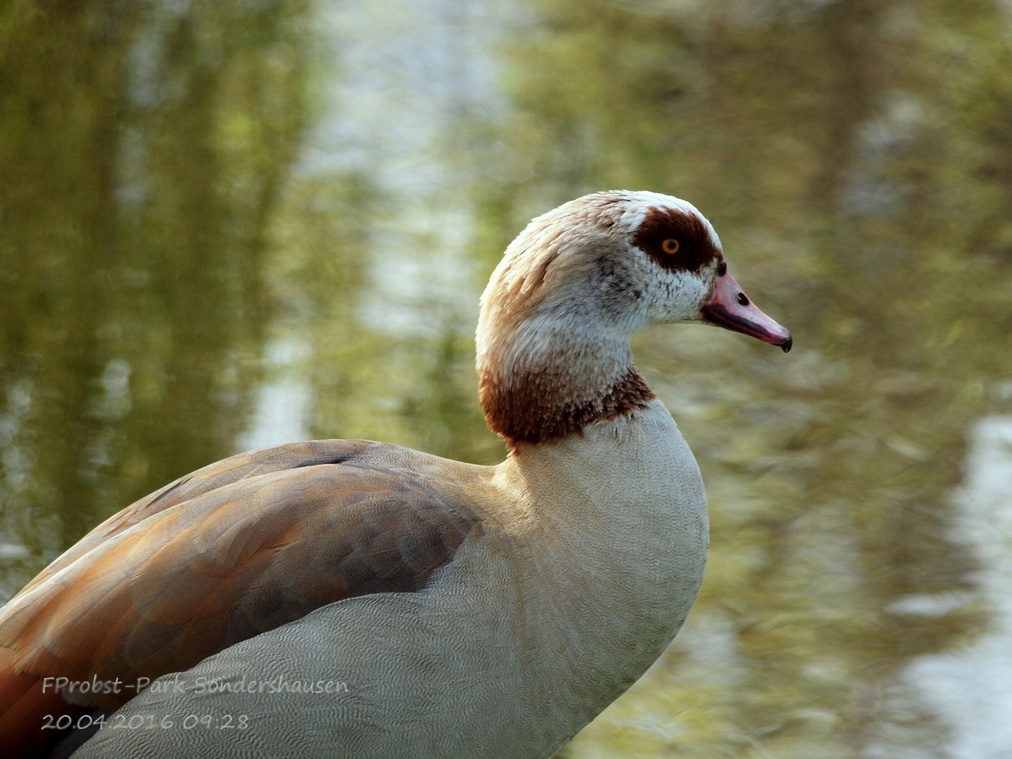 April 16 im Park Sondershausen