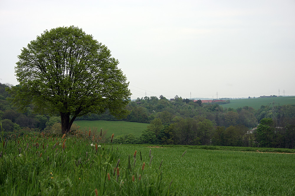 April 2009