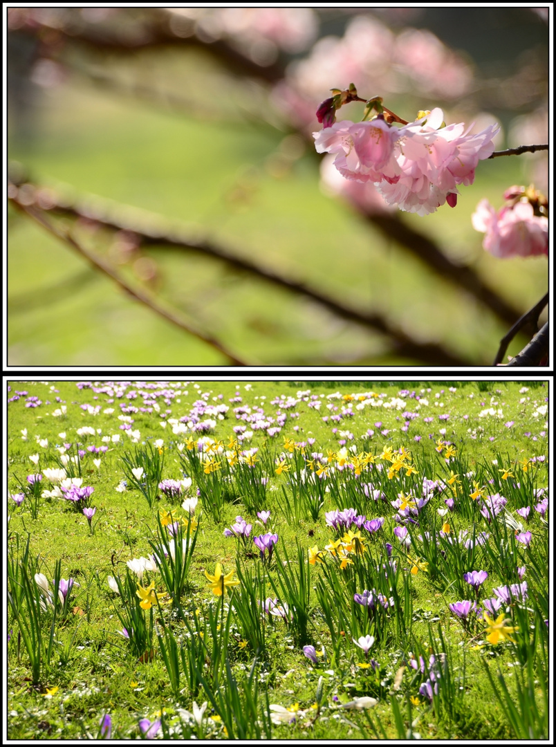 April 2015 - Leben im Vollen Saft