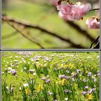 April 2015 - Leben im Vollen Saft