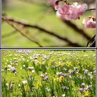 April 2015 - Leben im Vollen Saft