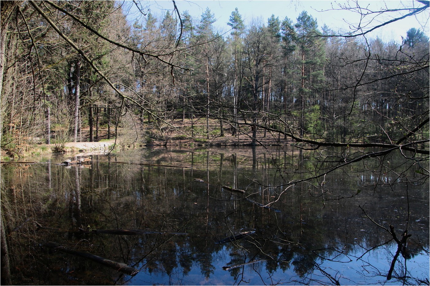 April am Schildkrötenteich