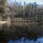 April am Schildkrötenteich