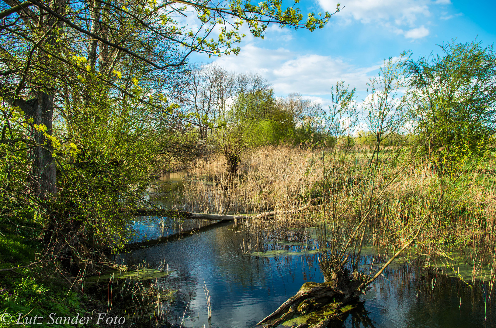 April an der "Alten Leine"