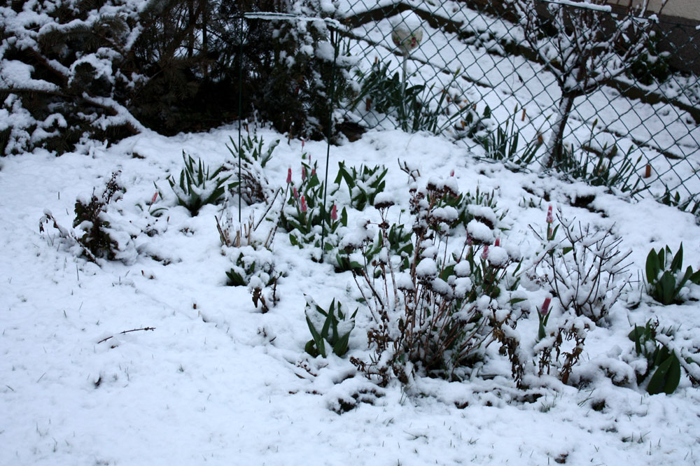 April April, dachte ich heut ,morgen