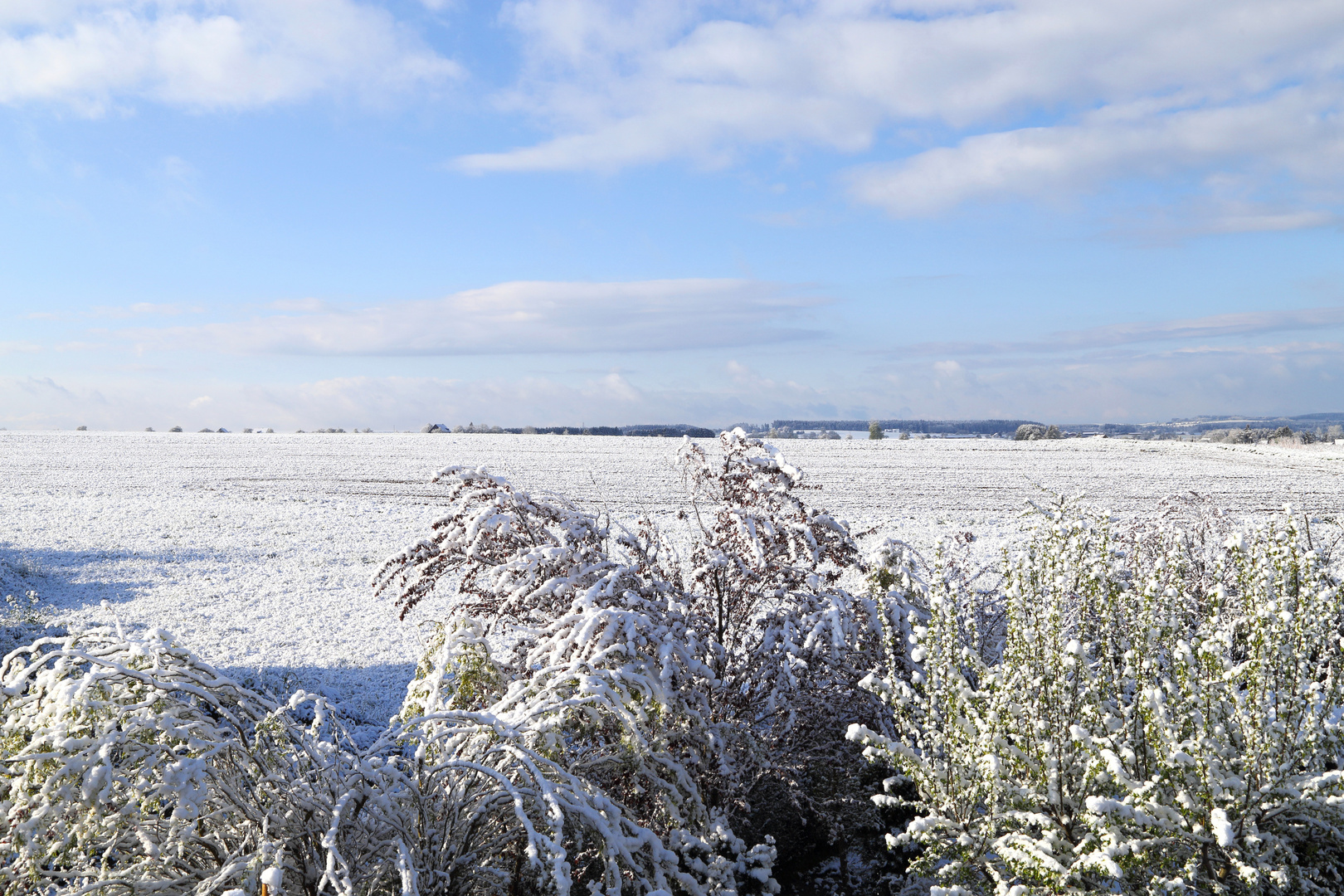 April April Der Weiss Nicht Was Er Will Foto Bild Jahreszeiten Fruhling Schnee Bilder Auf Fotocommunity
