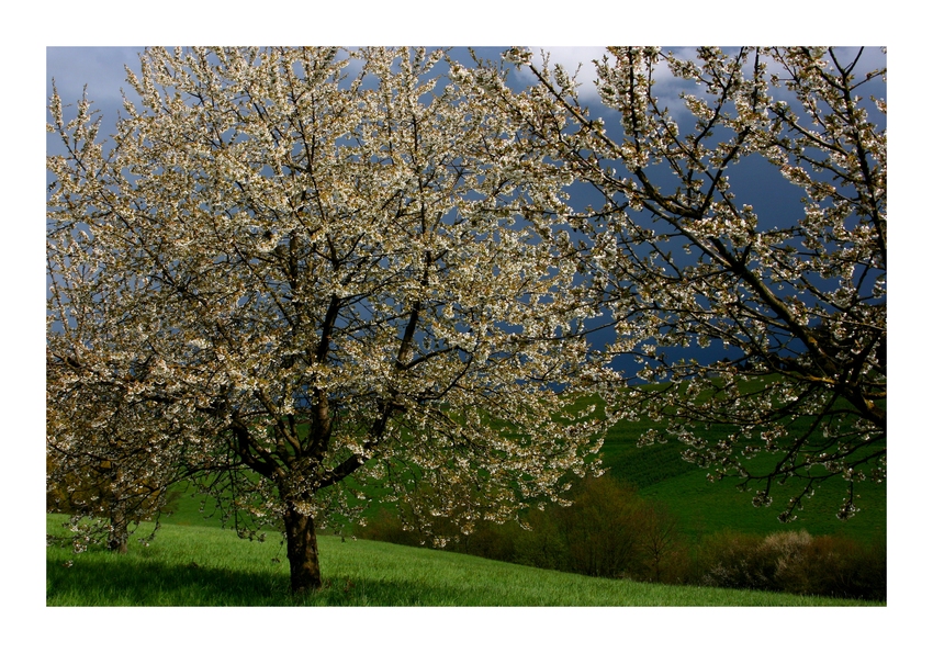 April, April, der weiß nicht was er will!