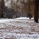 April, April!!!!.......jetzt hab ich aber die Schnauze voll.........