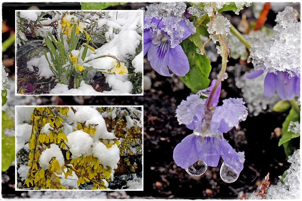 April, der kann machen was er will