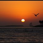 April Fool's Day Sunset in Key West