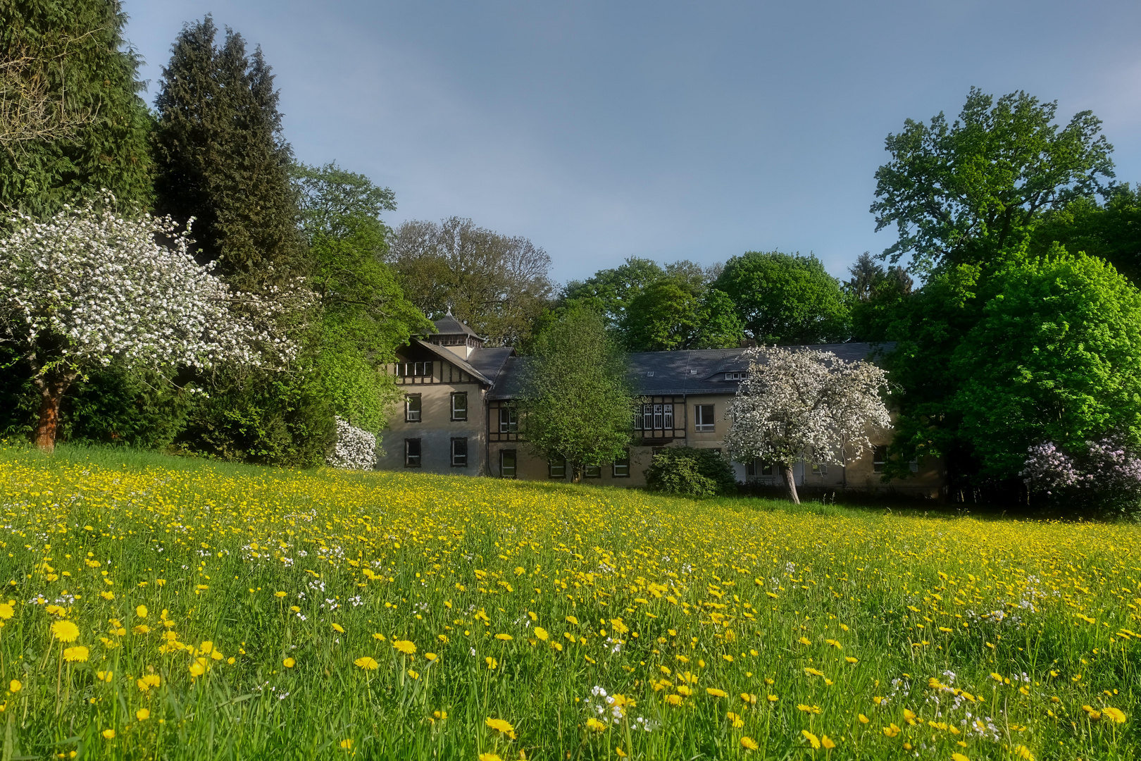 April-Frühlingsblütenpracht