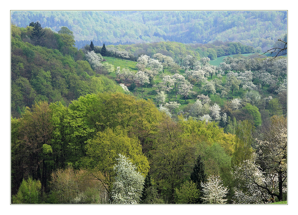 "April" im WESERBERGLAND-KALENDER 2017