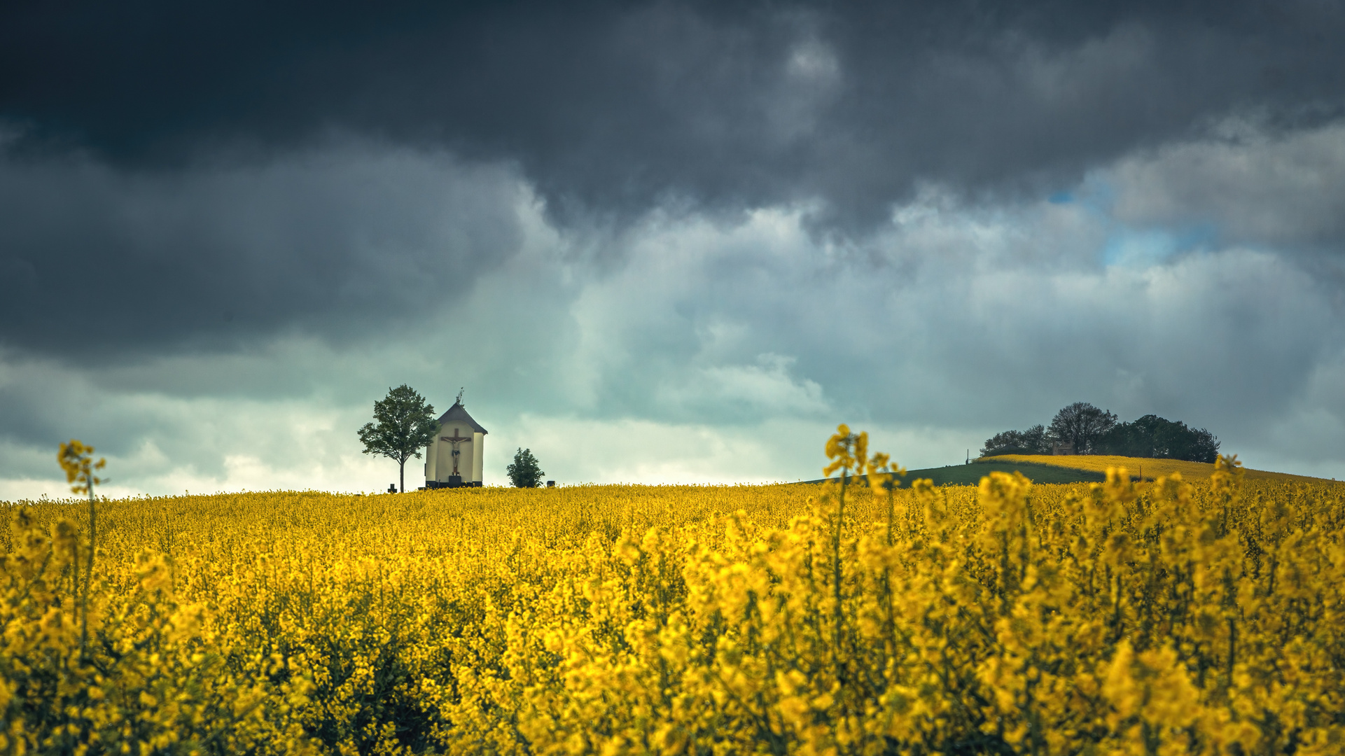 April in der Eifel II