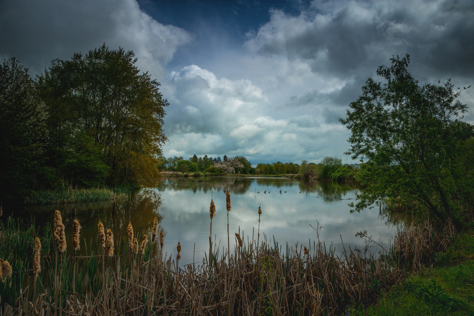 April in der Eifel III