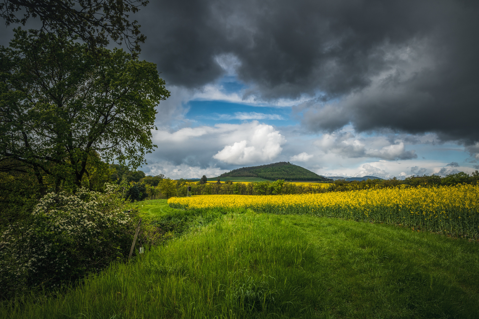 April in der Eifel V