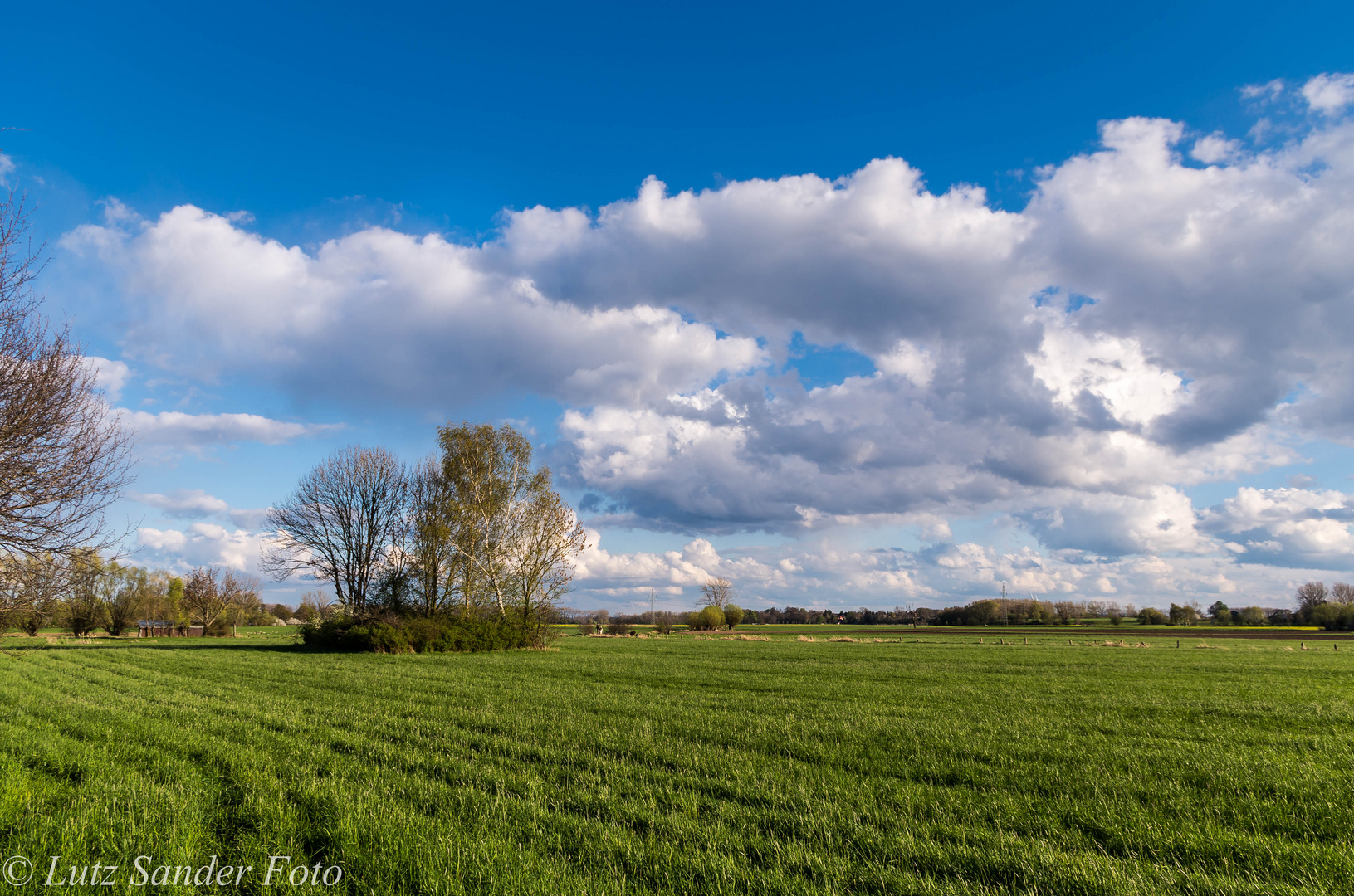 April in der Leinemasch