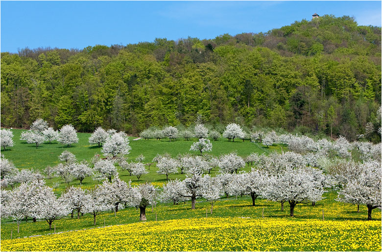 April in Maisprach