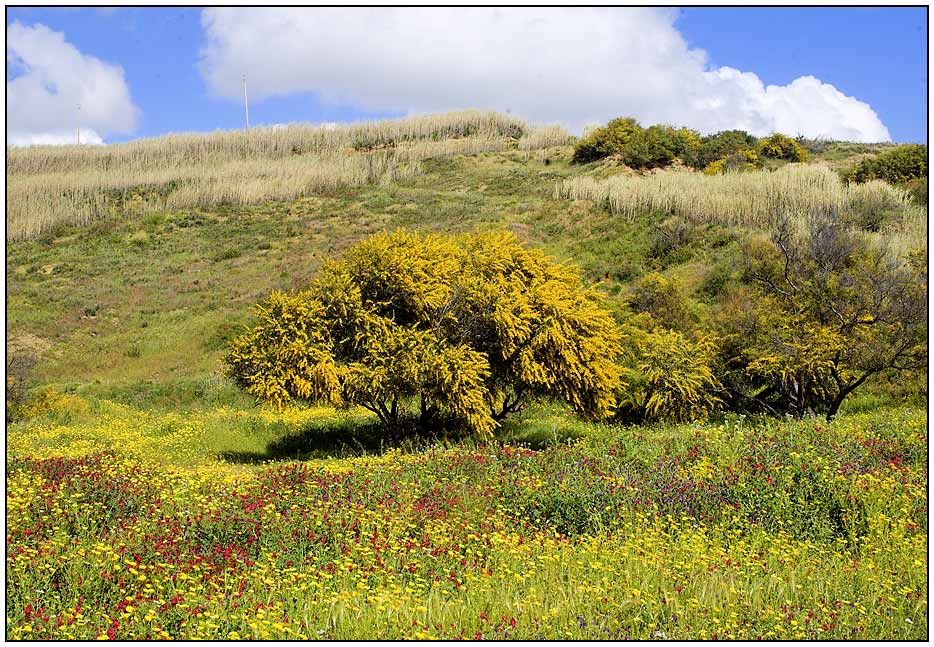 April in Sizilien