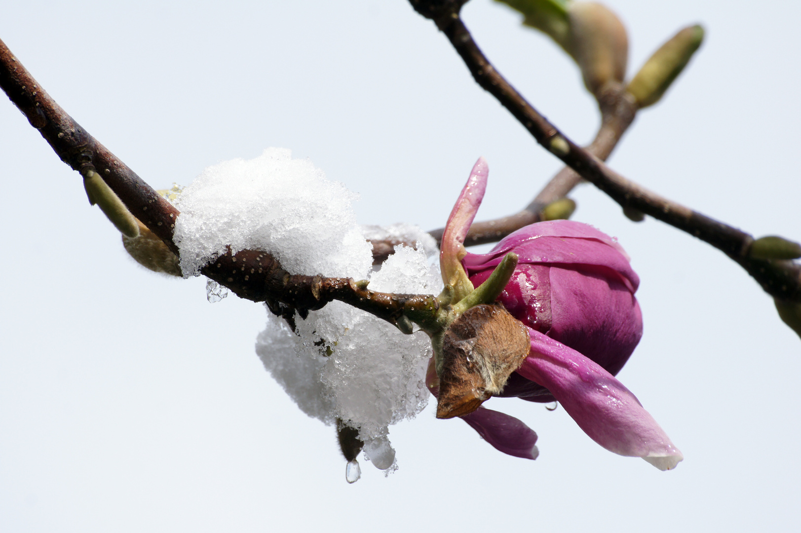 April in St.Gallen:-)